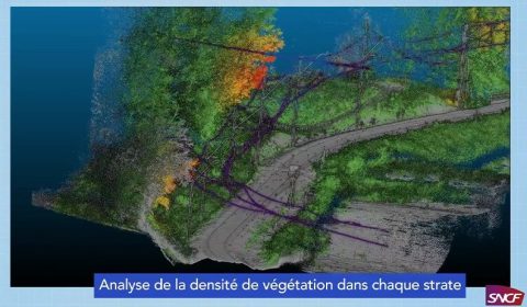 Vegetation detection from 3D LiDAR tech.