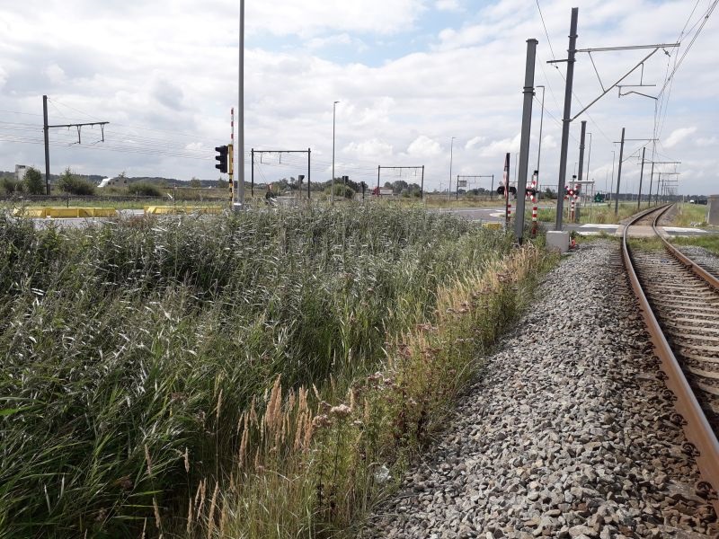 De overweg in Zeebrugge