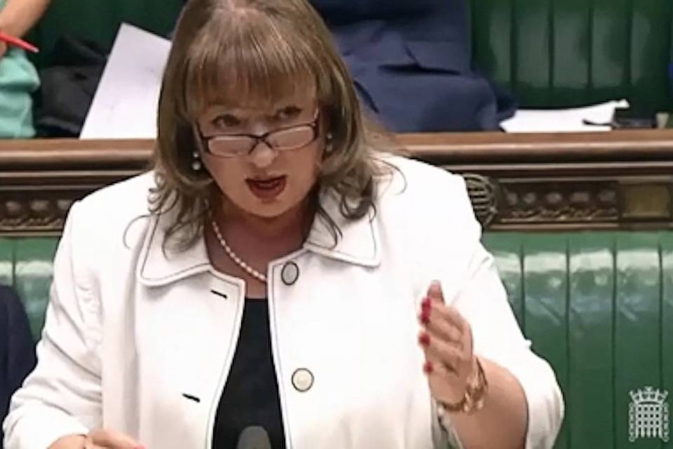 Sharon Hodgson speaking in the House of Commons © UK Parliament